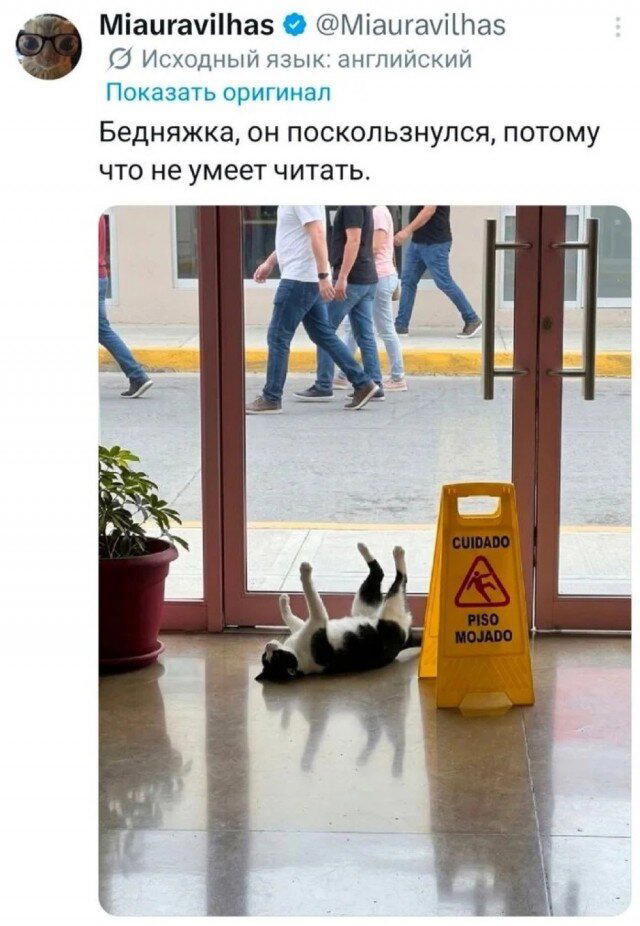 Дичкиного дня всем от меня
