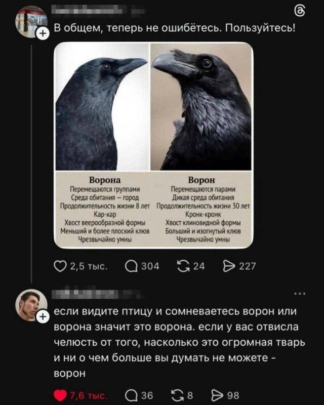 Дичкиного дня всем от меня