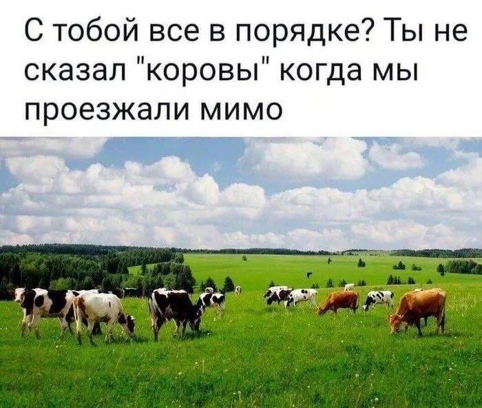Дичкиного дня всем от меня