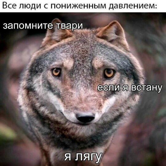 Дички на начало неделюшки