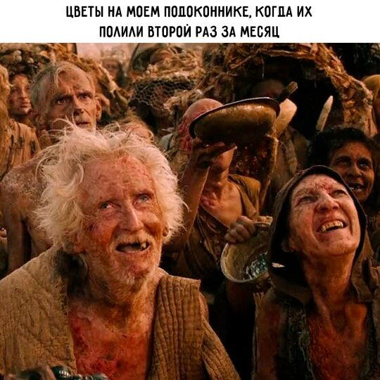 Дички на начало неделюшки