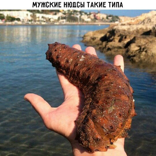 Дички с запозданием )
