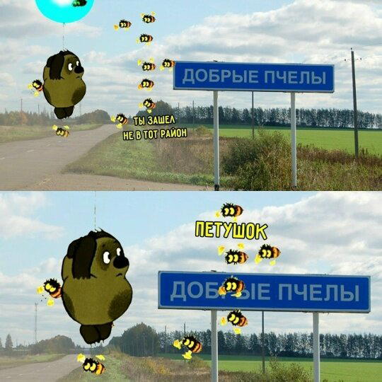 Дички с запозданием )