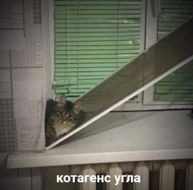 Дички с запозданием )