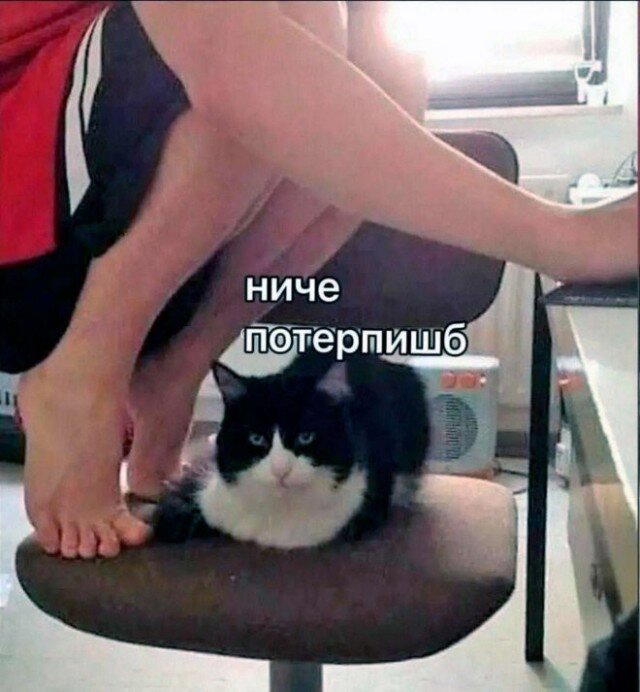 Дички с запозданием )