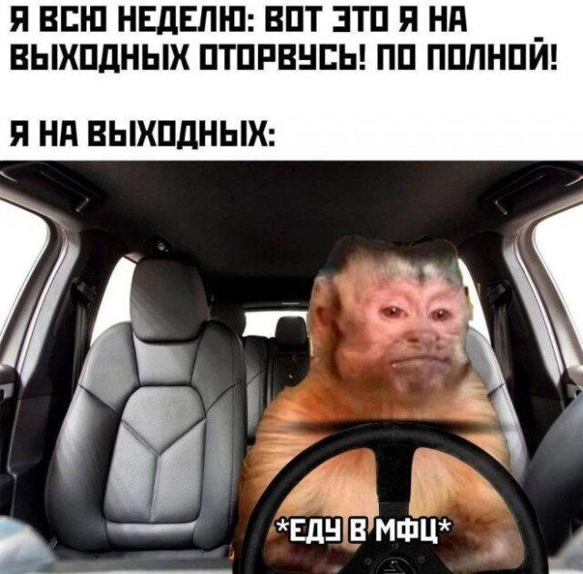 Дички с запозданием )