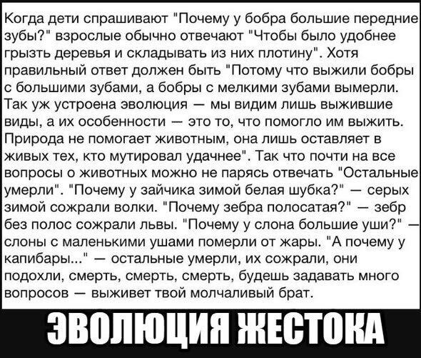 Дички с запозданием )
