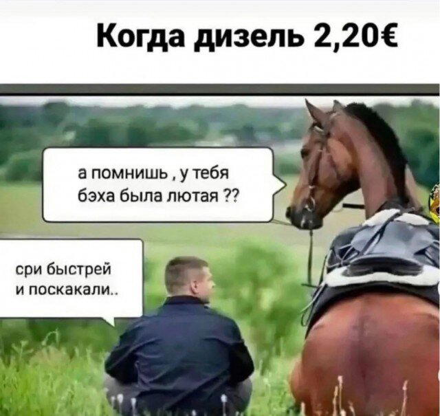 Дичи за вторник
