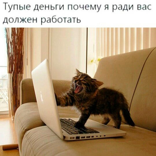 Дичи за вторник
