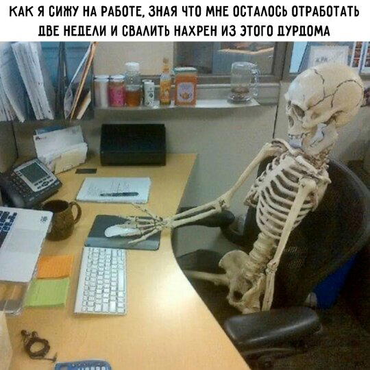 Дичи за вторник