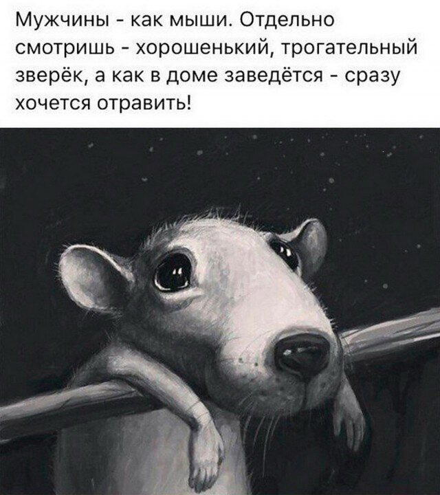 Дичи за вторник