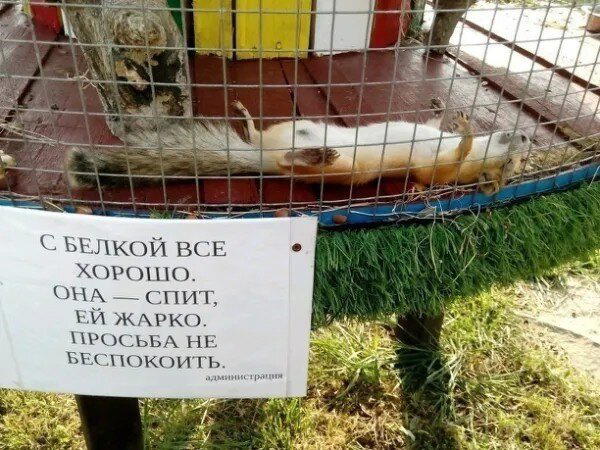 Дичи за вторник