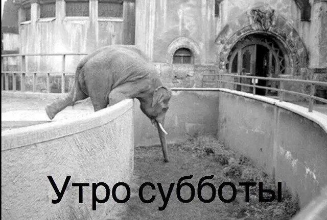Дичи за вторник
