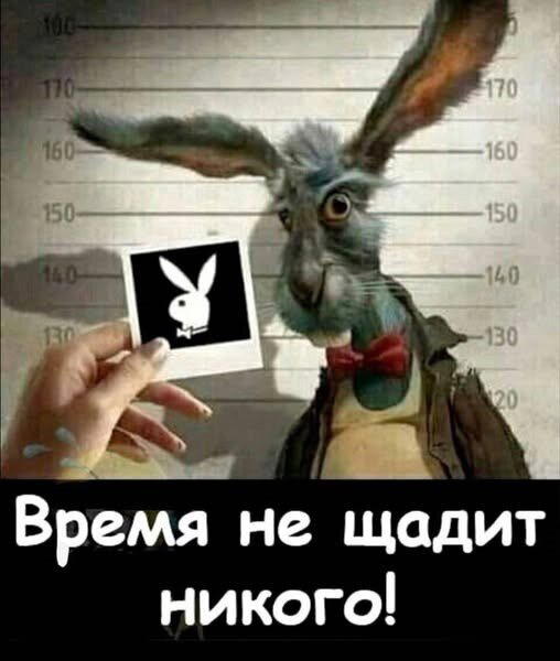 Дичи за вторник