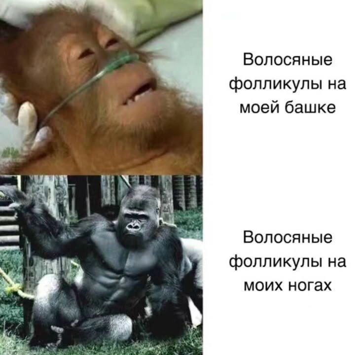 Дичи за вторник