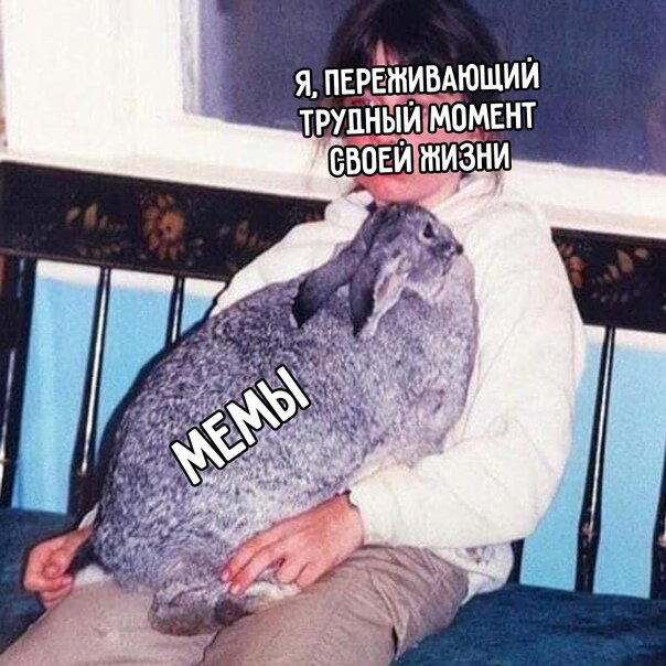 Дичи за вторник