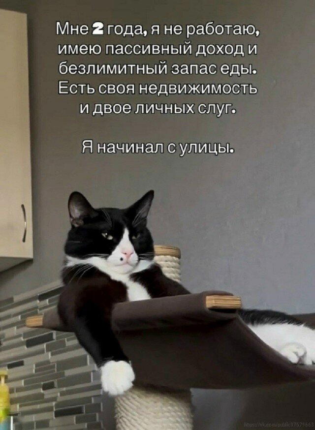 Дички в среду как разогрев на утро