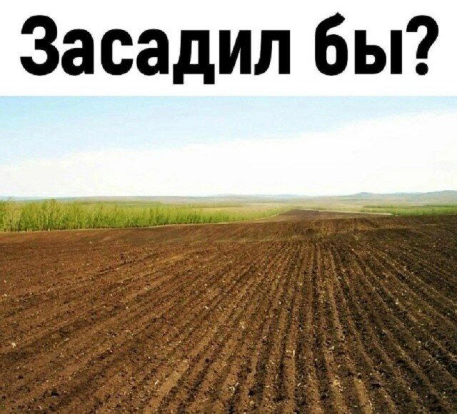 Дички в среду как разогрев на утро
