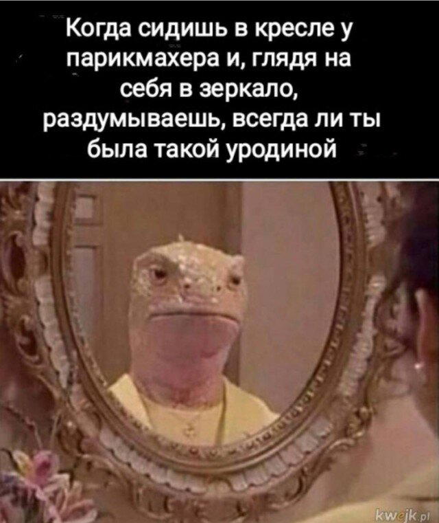 Знакомое лицо по сайту верно 🤔