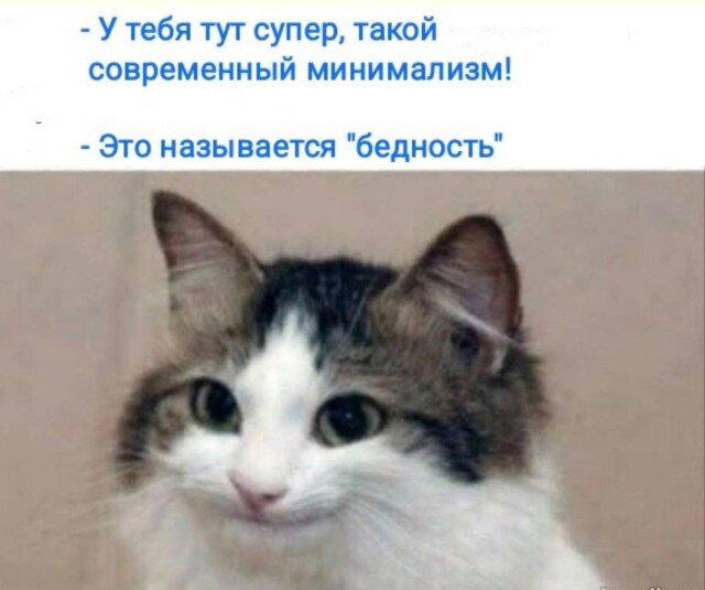 Дички в среду как разогрев на утро