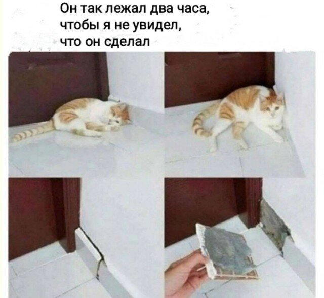 Дички в среду как разогрев на утро
