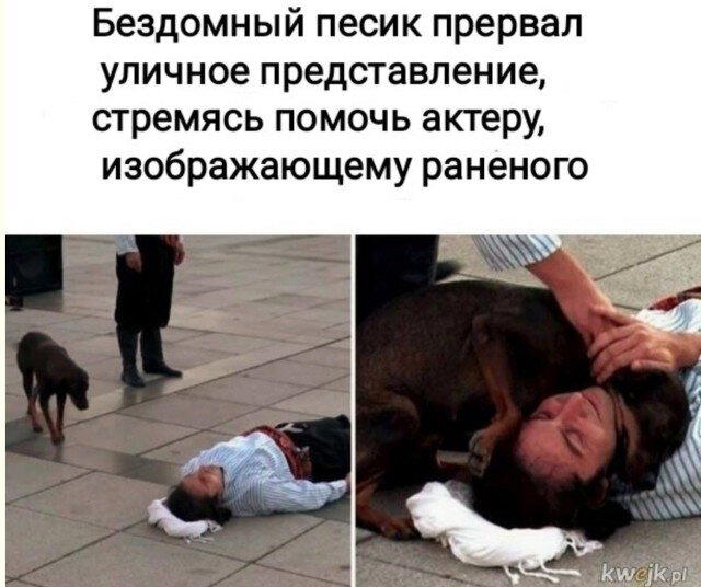 Дички в среду как разогрев на утро