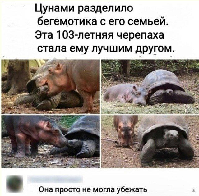 Дички в среду как разогрев на утро
