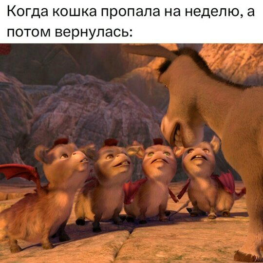 Дички в среду как разогрев на утро