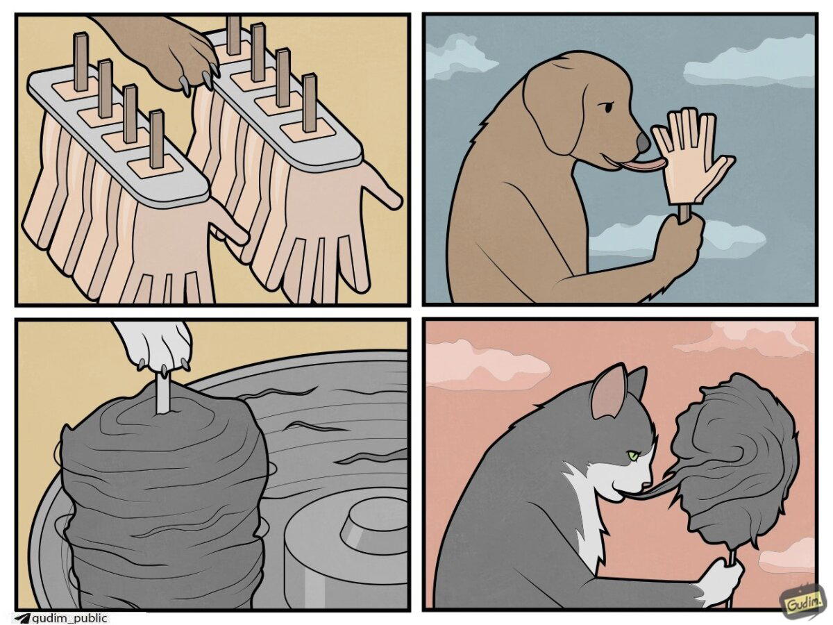 Предпочтения