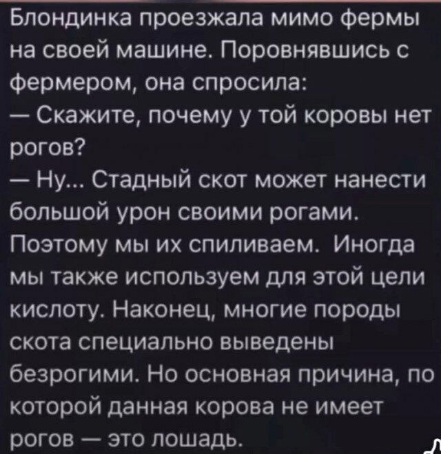 Легкой дички на утро
