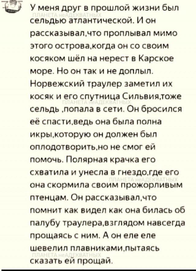 Легкой дички на утро