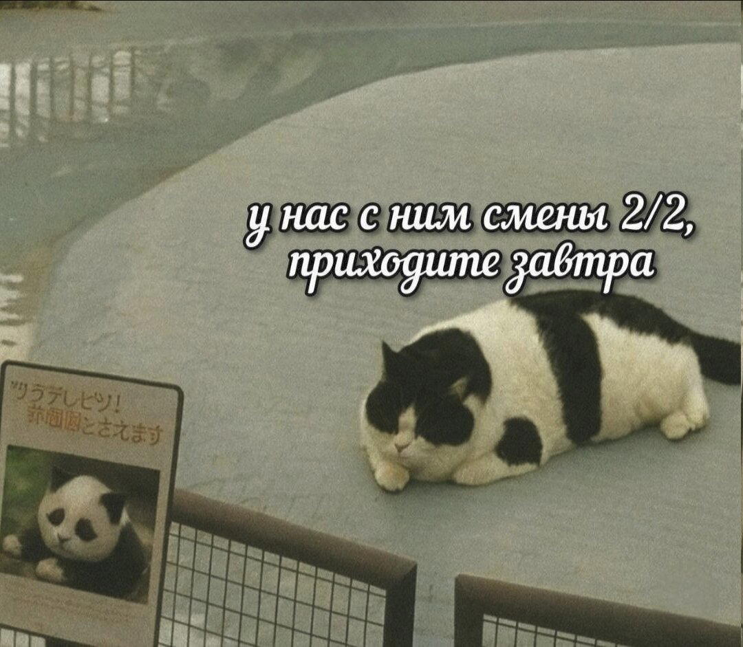 Легкой дички на утро