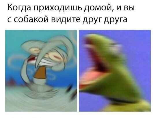 Легкой дички на утро