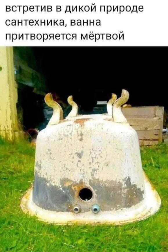 Четвердич