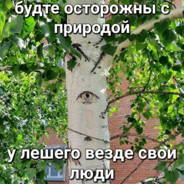 Четвердич