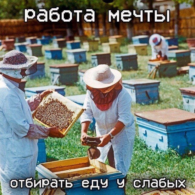Четвердич