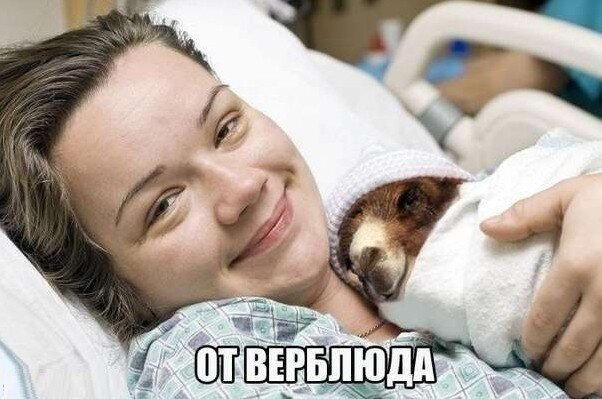 Откуда