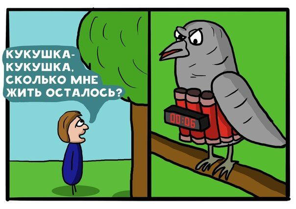 Дички щепотью