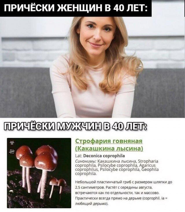 Дички щепотью