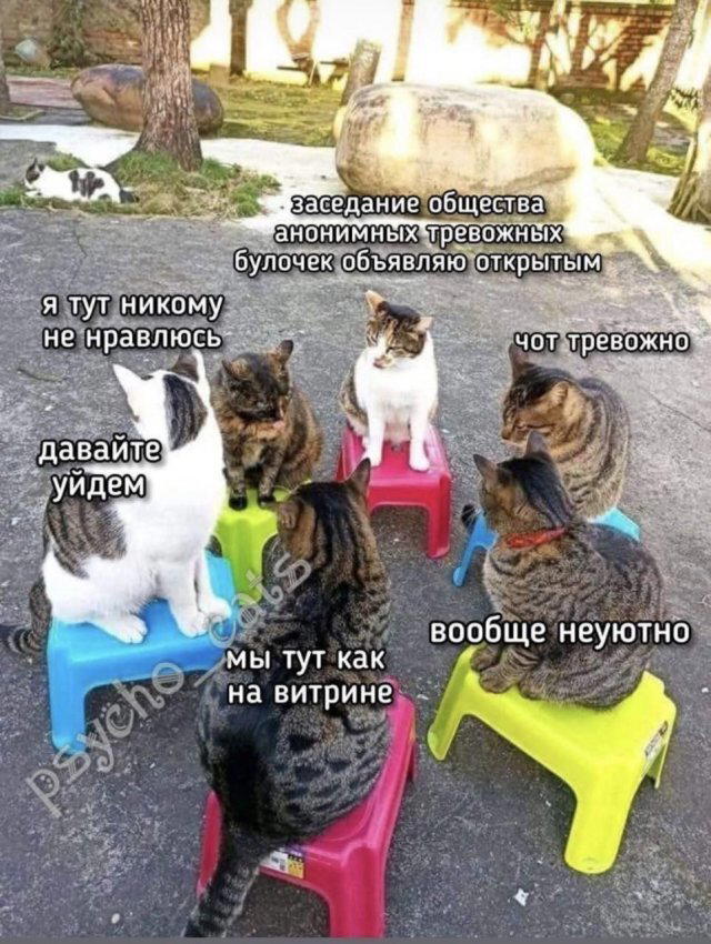 Дички щепотью