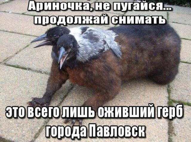 Дичка плюс задачка ивента