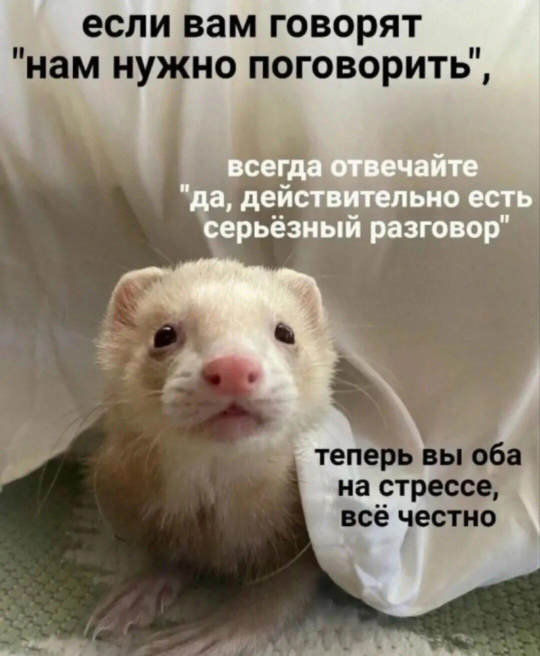 Для поднятия настроения)