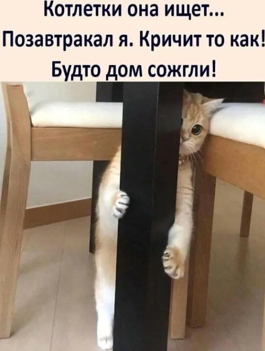 Для поднятия настроения)