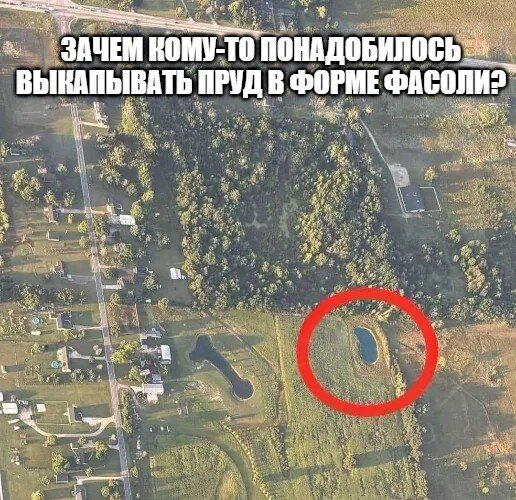 Для поднятия настроения)