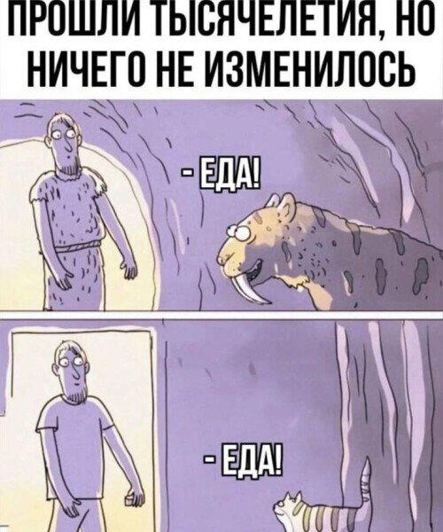 Для поднятия настроения)