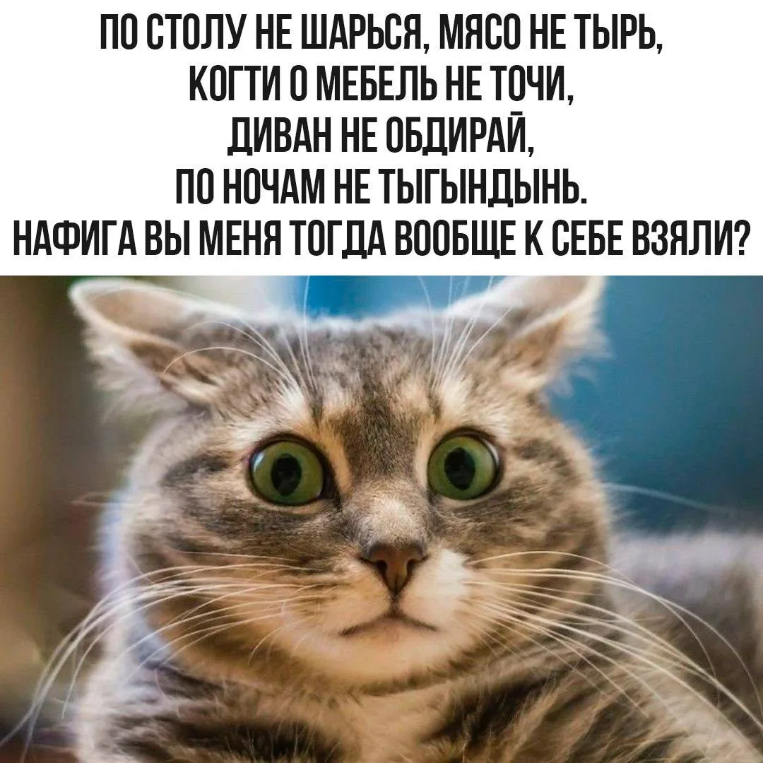 Для поднятия настроения)
