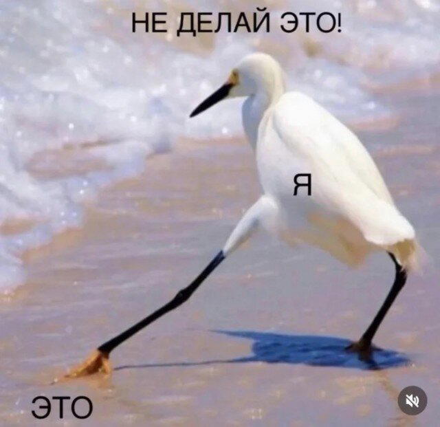 Скушно бездишки, Дичка