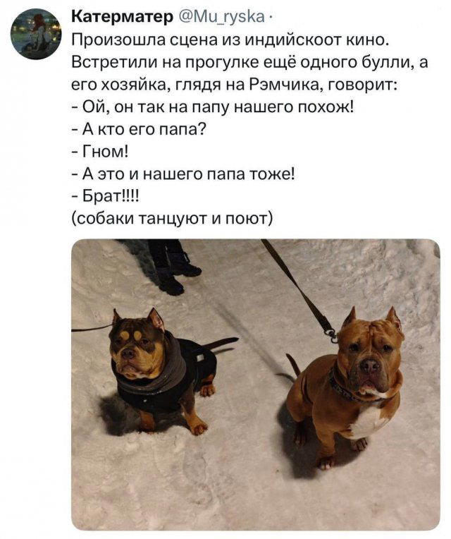 Скушно бездишки, Дичка