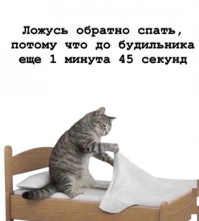 Скушно бездишки, Дичка