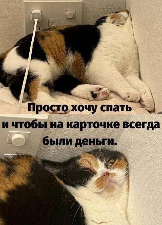 Скушно бездишки, Дичка
